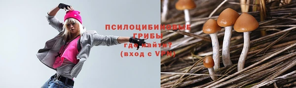 мет Алзамай