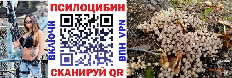Псилоцибиновые грибы Magic Shrooms  Мышкин 